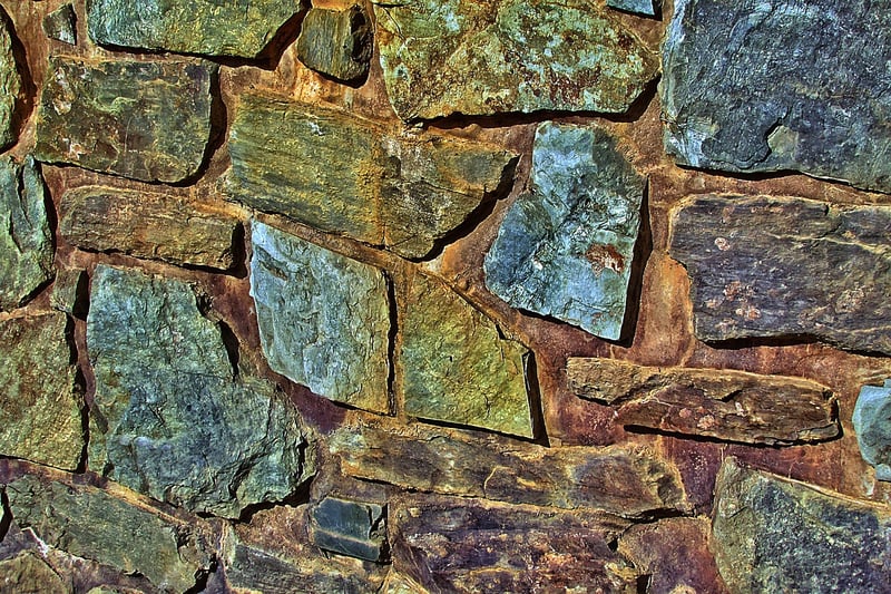 Vertical Plant Wall